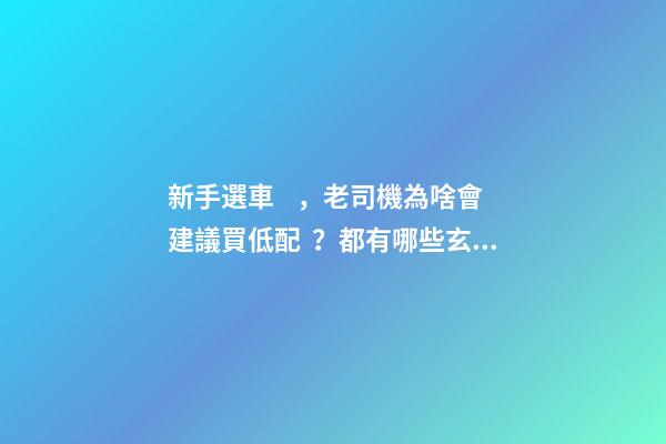 新手選車，老司機為啥會建議買低配？都有哪些玄機？